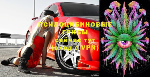 индика Ростов