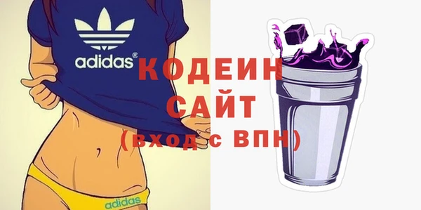 индика Ростов